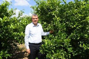 “AMS ZARARLISI İHRACATA DA DARBE VURUYOR”