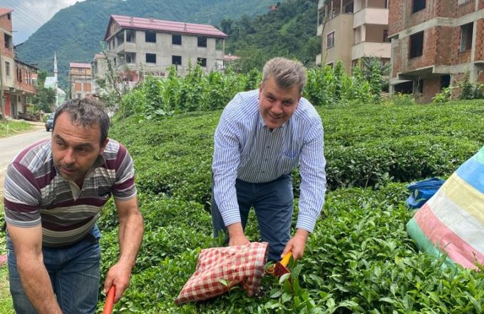 “Çay üreticisi özel sektöre ezdiriliyor”