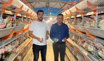 TAVUK VE YUMURTA ÜRETİCİLERİNİN DAYANACAK GÜCÜ KALMADI