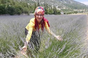 Feke’ye lavanta turizmi