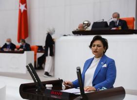 Boğulma olayları meclis gündeminde