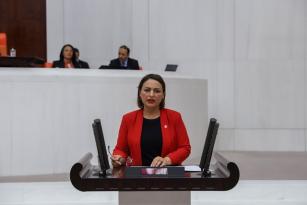 ŞEVKİN: ÖĞRENCİ, ÇİFTÇİ VE ESNAFIN BORCU SİLİNSİN