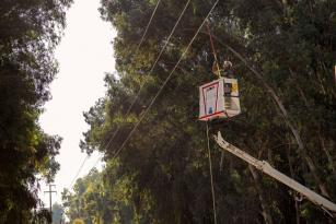 TEDAŞ Adana’yı Bakım ve Yatırımlarıyla Aydınlattı