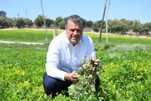 “YERFISTIĞINDAKİ FİYAT ÇELİŞKİSİNE ÇÖZÜM BULUNMALI”