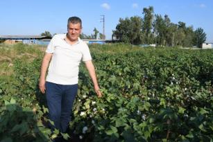 PAMUKTA 2 MİLYAR DOLARLIK İTHALATA TEPKİ