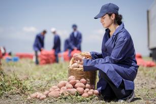 PepsiCo’dan Pozitif Tarım ile Çiftçilere Sürdürülebilir Tarım Desteği