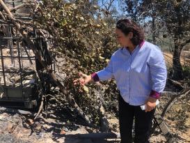 ŞEVKİN: “NEDENİ BİLİNMEYEN YANGIN ORANI YÜZDE 51’E ÇIKTI”