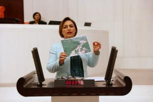 Şevkin: “Türkiye, doğa kaynaklı afetlere karşı savunmasız!”