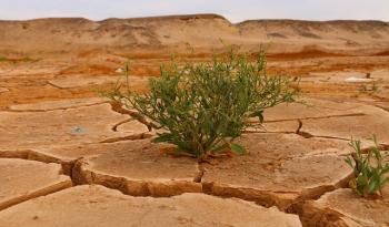 IPCC UYARDI: “İKLİM DEĞİŞİKLİĞİNİ SINIRLANDIRMAK İÇİN DERHAL HAREKETE GEÇİLMELİ”