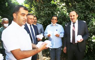 AVCI BÖCEKLER İŞBAŞINDA