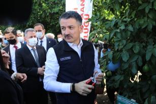 BAKAN PAKDEMİRLİ: “RADYASYON İLE AKDENİZ MEYVE SİNEĞİNİ KISIRLAŞTIRIYORUZ”