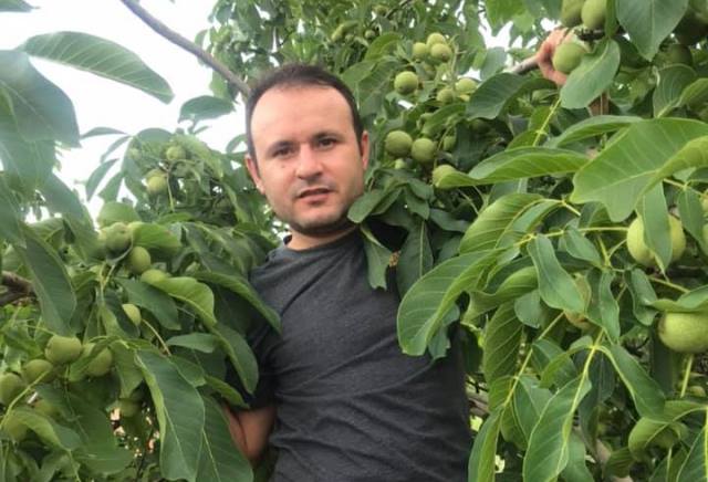 ÜRETİCİNİN CEVİZDEN BEKLENTİSİ YÜKSEK