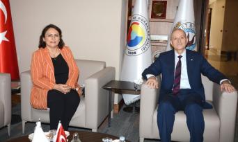 ŞEVKİN: “TARIMDA ACİL EYLEM PLANINA İHTİYAÇ VAR”