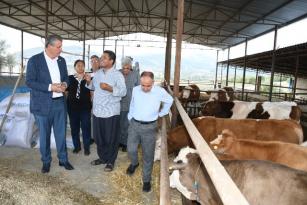 ÇİFTÇİYE İCRA DARBESİ