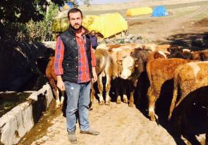 YÜKSEK VERİM İÇİN BÜYÜKBAŞ ARTTIRILMALI