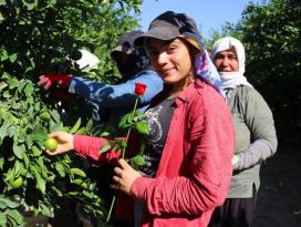 Dünya Kadın Çiftçiler Günü’nde tarlada çalışırken gül alan kadınlar şaşırdı
