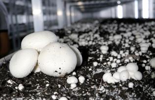 “ÜRETİCİYLE TÜKETİCİ ARASINDA CİDDİ BİR MAKAS VAR”