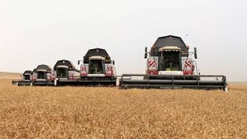 TARIM ÜRÜNLERİ ÜRETİCİ FİYAT ENDEKSİ (TARIM-ÜFE) YILLIK YÜZDE 24,69, AYLIK YÜZDE 1,77 ARTTI