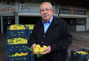 ADANA’DA LİMONUN KİLOSU HALDE 25 KURUŞA DÜŞTÜ