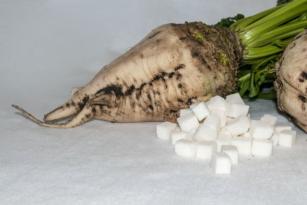 “PANCAR VE ŞEKER ÜRETİMİNDE KOTA KALDIRILSIN”