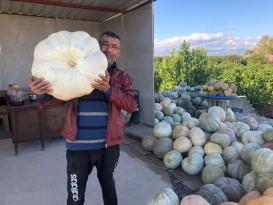 23 KİLOLUK DEV BAL KABAĞI