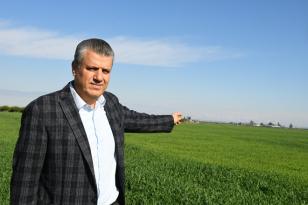 “BUĞDAYDA YAKLAŞAN TEHLİKEYE DİKKAT!”