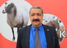 ARACILAR KOYUNLARI AHIRDA TUTUP FİYAT YÜKSELTİYOR
