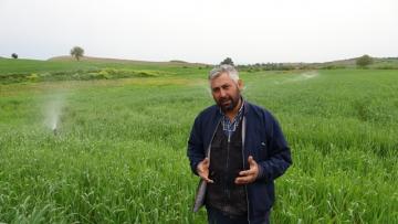 Kuraklık buğday üreticisine 30 yıl sonra tarla sulattı