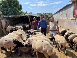 “KURBANLIKLARIN FİYATI 2 KATINA ÇIKTI”
