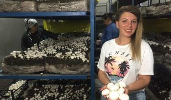 EVİNİN ARDİYESİNDE MANTAR ÜRETİYOR SİPARİŞLERE YETİŞEMİYOR