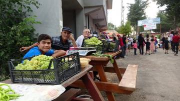 FEKE’DE TAPAN KÜLTÜR VE ÜZÜM ŞENLİĞİ