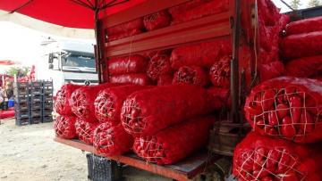 SALÇALIK BİBERİN ATEŞİ DÜŞÜYOR