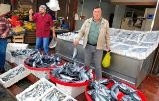 PALAMUT TEZGÂHLARI DOLDURDU