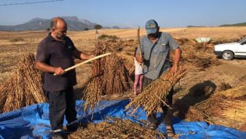 SUSAMIN ZORLU HASADI