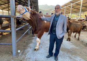 ARTAN YEM FİYATLARI ÜRETİCİLERİ ZORLUYOR