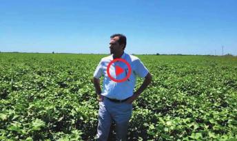 “Tarım toprakları azalıyor, gıdaya erişim zorlaşıyor”