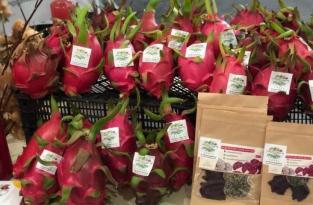 SON ZAMANLARIN GÖZDESİ EJDER MEYVESİ