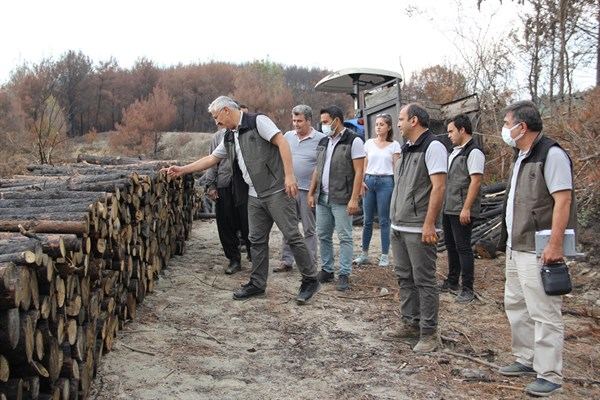 Karatepe’ye yeşillendirme çalışmaları sürüyor