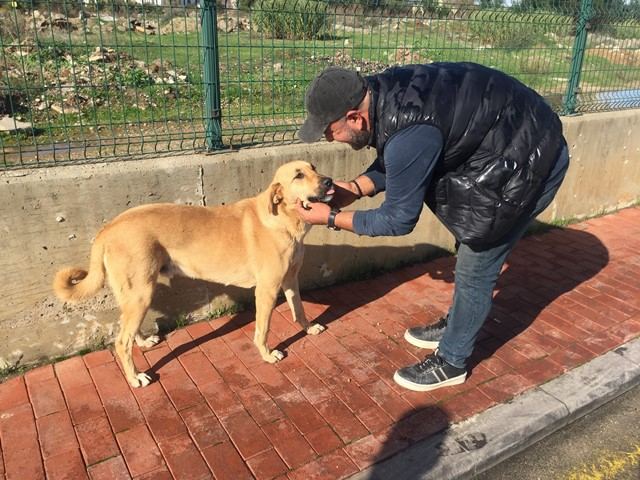 Can dosttan yarasını tedavi eden sağlık çalışanına vefa