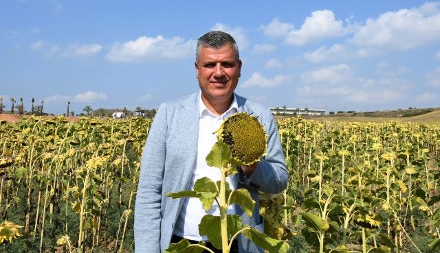 "AYÇİÇEK YAĞI KRİZİ ÜRETİMLE AŞILIR"