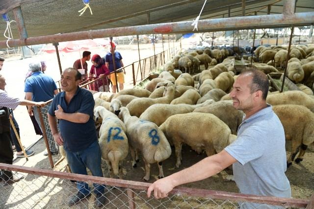 SEYHAN'DA "ÜCRETSİZ KURBAN KESİM" HİZMETİ