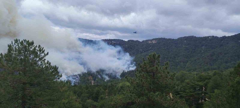 Beşkonak’ta orman yangını: Havadan ve karadan müdahale ediliyor