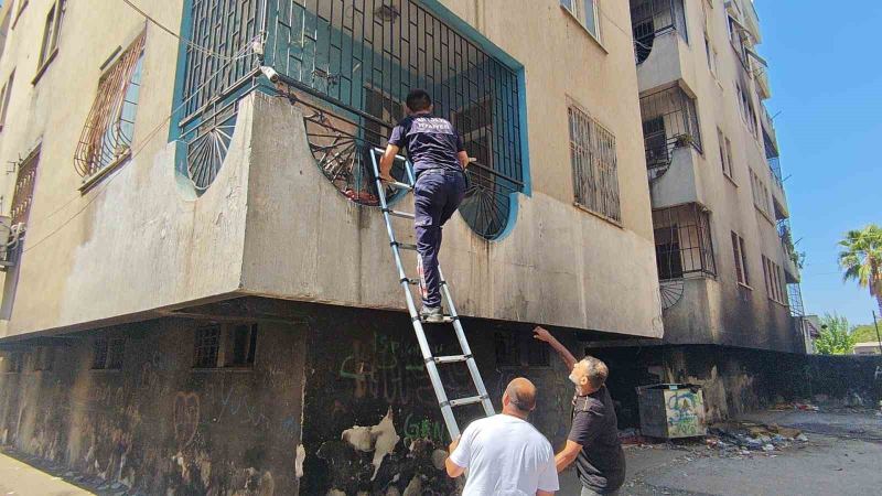 ANTALYA’NIN MURATPAŞA İLÇESİNDE 5 KATLI BİR APARTMANIN DÖRDÜNCÜ KATINDAKİ BOŞ DAİREDE YANGIN ÇIKTI. YANGIN SIRASINDA KORKARAK APARTMANIN 1’İNCİ KATINA SIĞINAN HAMİLE KEDİ İSE İTFAİYE EKİPLERİ TARAFINDAN MERDİVENLE KURTARILDI.
