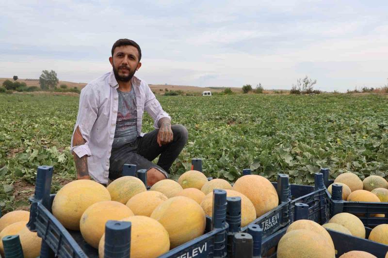 ÜRETİCİ FATİH YILDIRIM PAZARCI OLDUKLARI İÇİN ARACI OLMADAN ÜRÜNÜ HEM UYGUNA SATIP HEMDE KAR YAPABİLDİKLERİNİ SÖYLEDİ