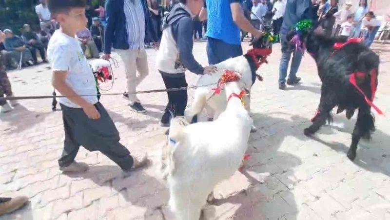 MUT İLÇESİNİN ÇUKURBAĞ MAHALLESİNDE İLKİ DÜZENLENEN KEÇİ GÜZELLİK YARIŞMASINDA KEÇİLER BİRİNCİ OLABİLMEK İÇİN YARIŞTI.
