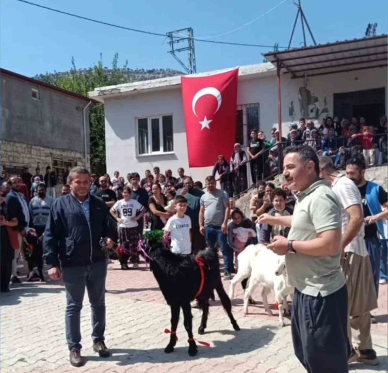 TOPLAM 6 KEÇİNİN KATILDIĞI YARIŞMADA ABDULLAH BOL'UN KEÇİSİ 40 PUANLA BİRİNCİ OLDU.