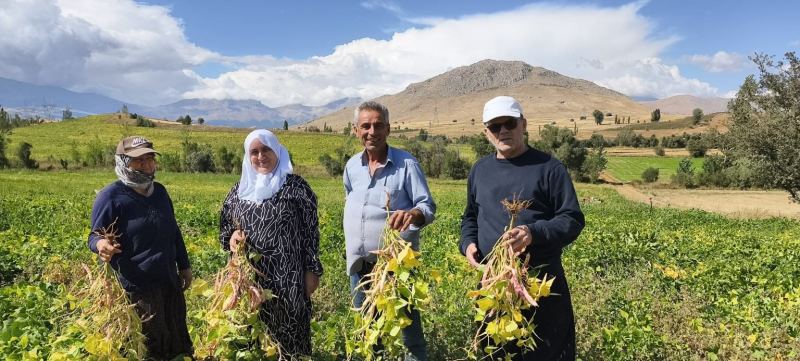 Coğrafi işaretli kuru fasulye hasadı başladı