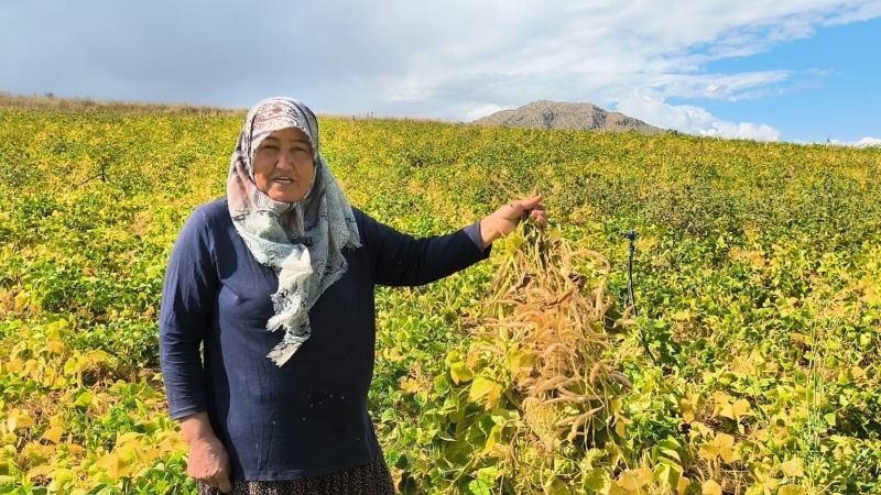 ÜRETİCİ DUDU TOKDEMİR