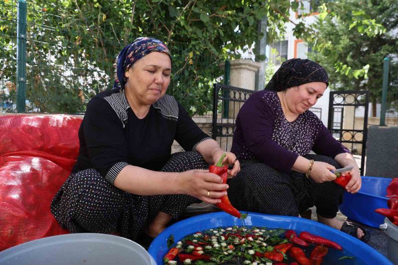 KADINLAR İMECE USULU KIŞLIK SALÇALARINI HAZIRLIYOR