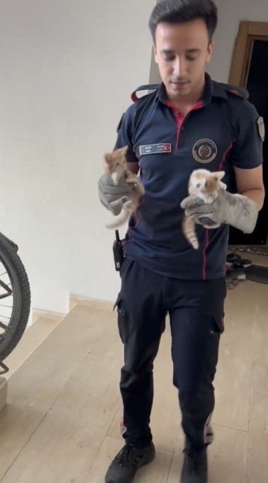 HAVALANDIRMA BOŞLUĞUNA DÜŞEN 3 YAVRU KEDİYİ İTFAİYE KURTARDI